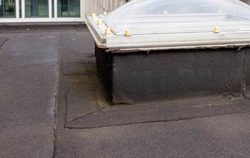disadvantages of Uplyme flat roofs